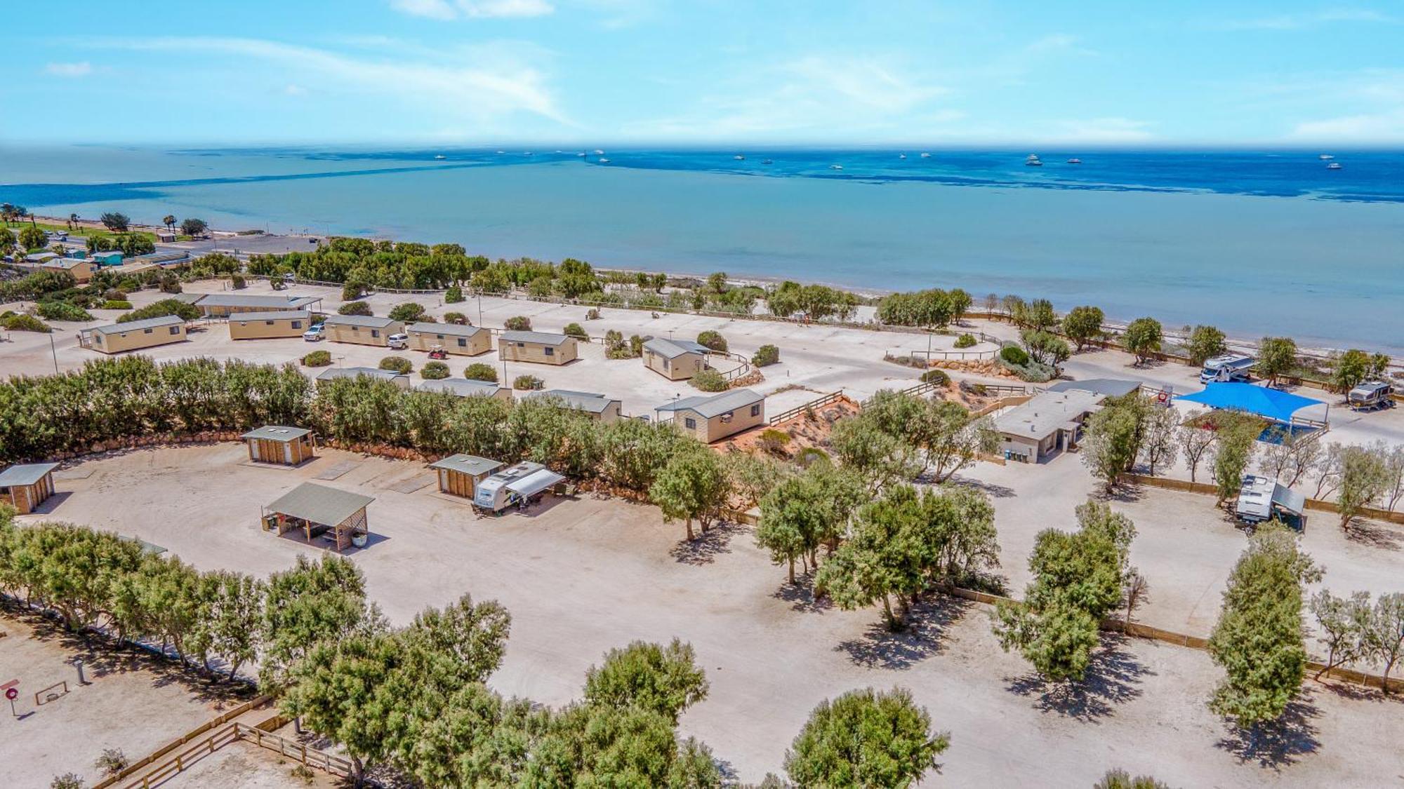 Tasman Holiday Parks - Denham Seaside Esterno foto
